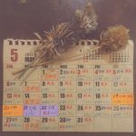 5月の出勤カレンダー☆